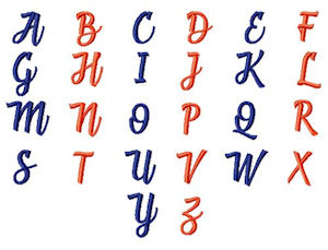Alphabet included with In the hoop zipped Glass Case